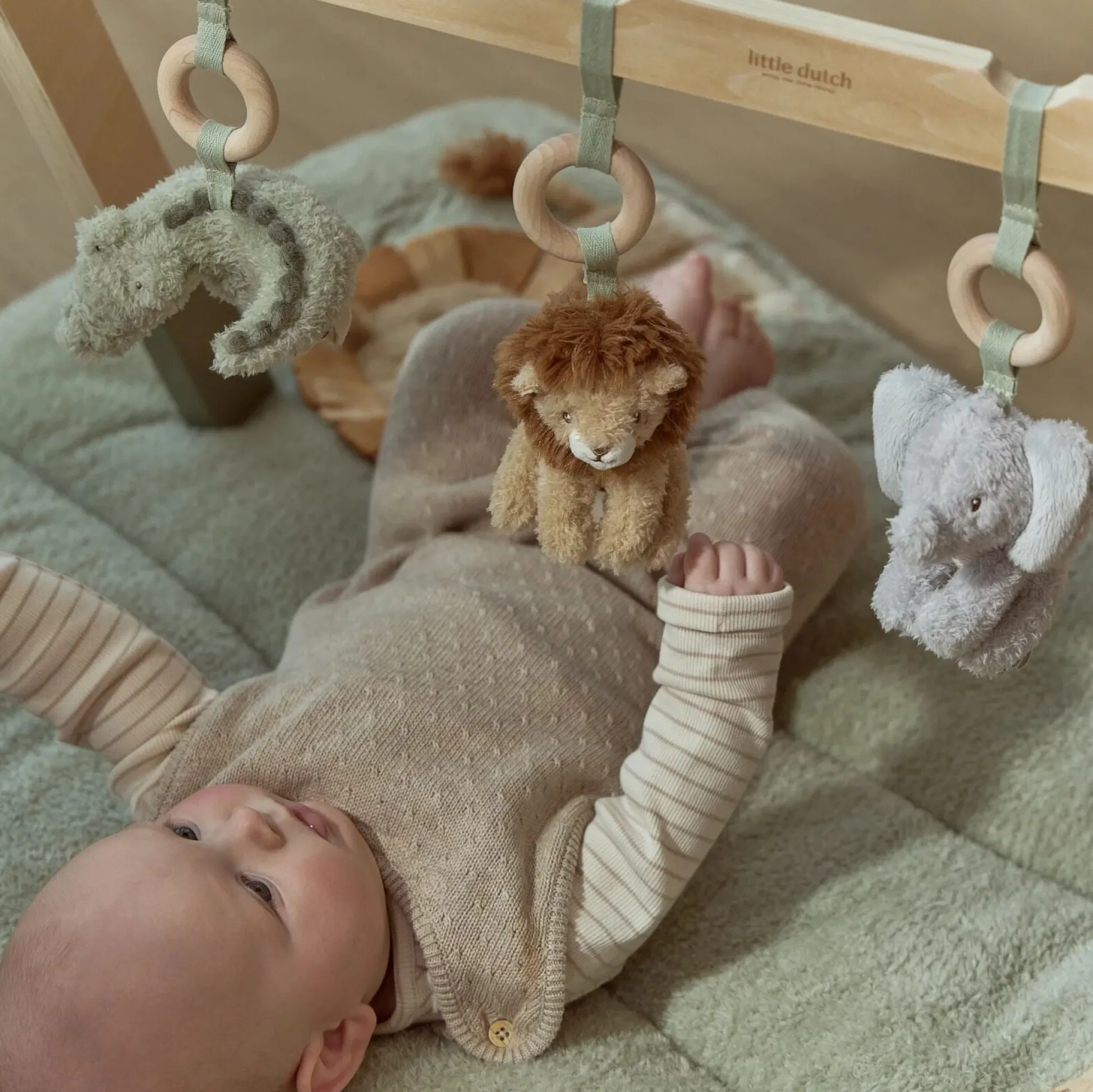 Babygym