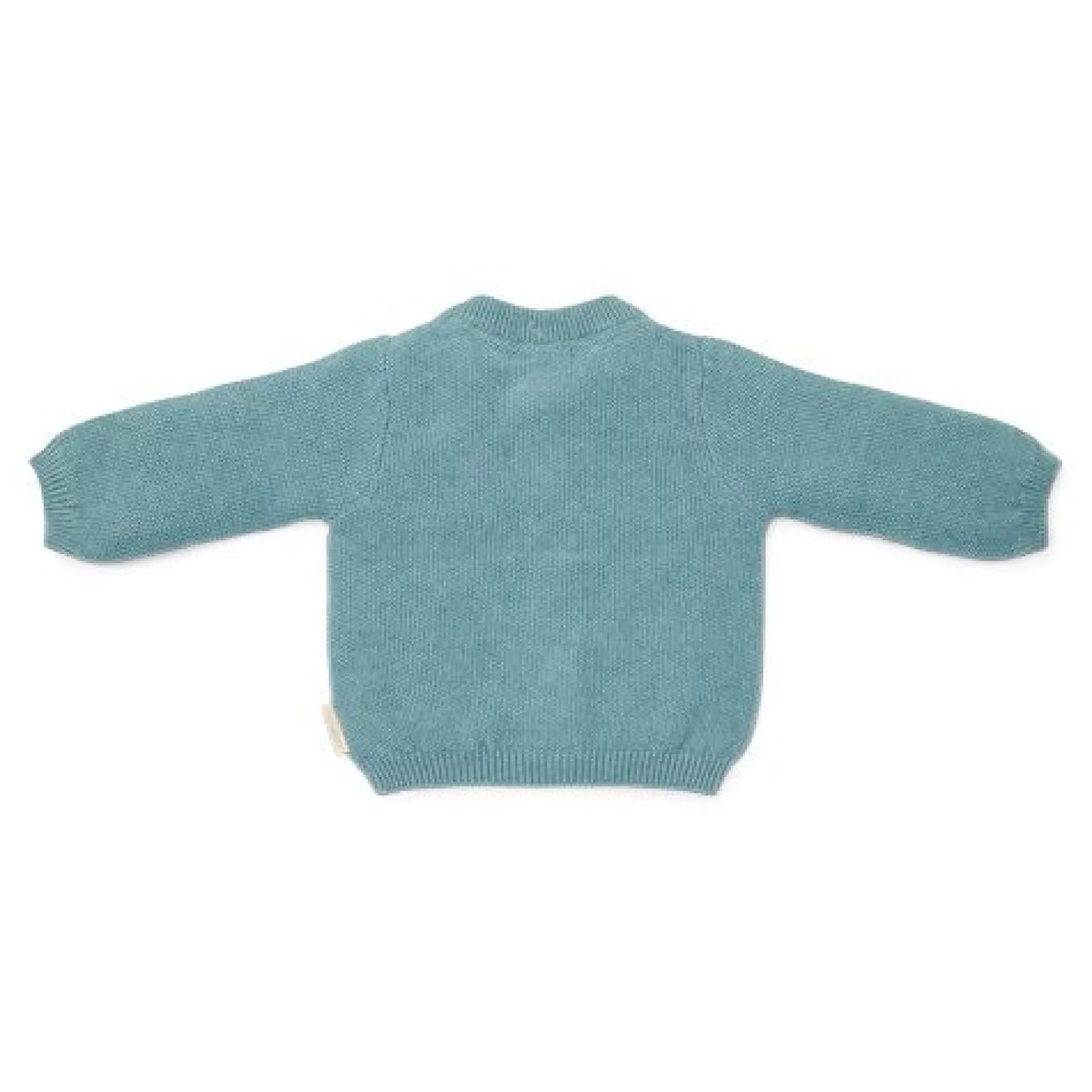 Gebreid vestje - Blauw - Forest Friends