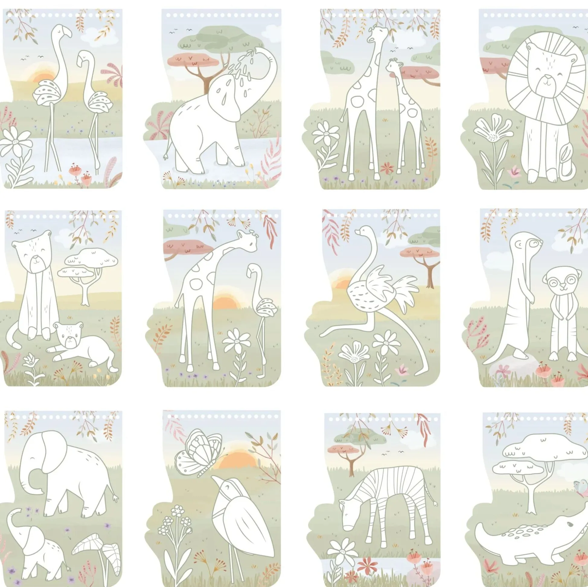 Kleurboek - Rosa
