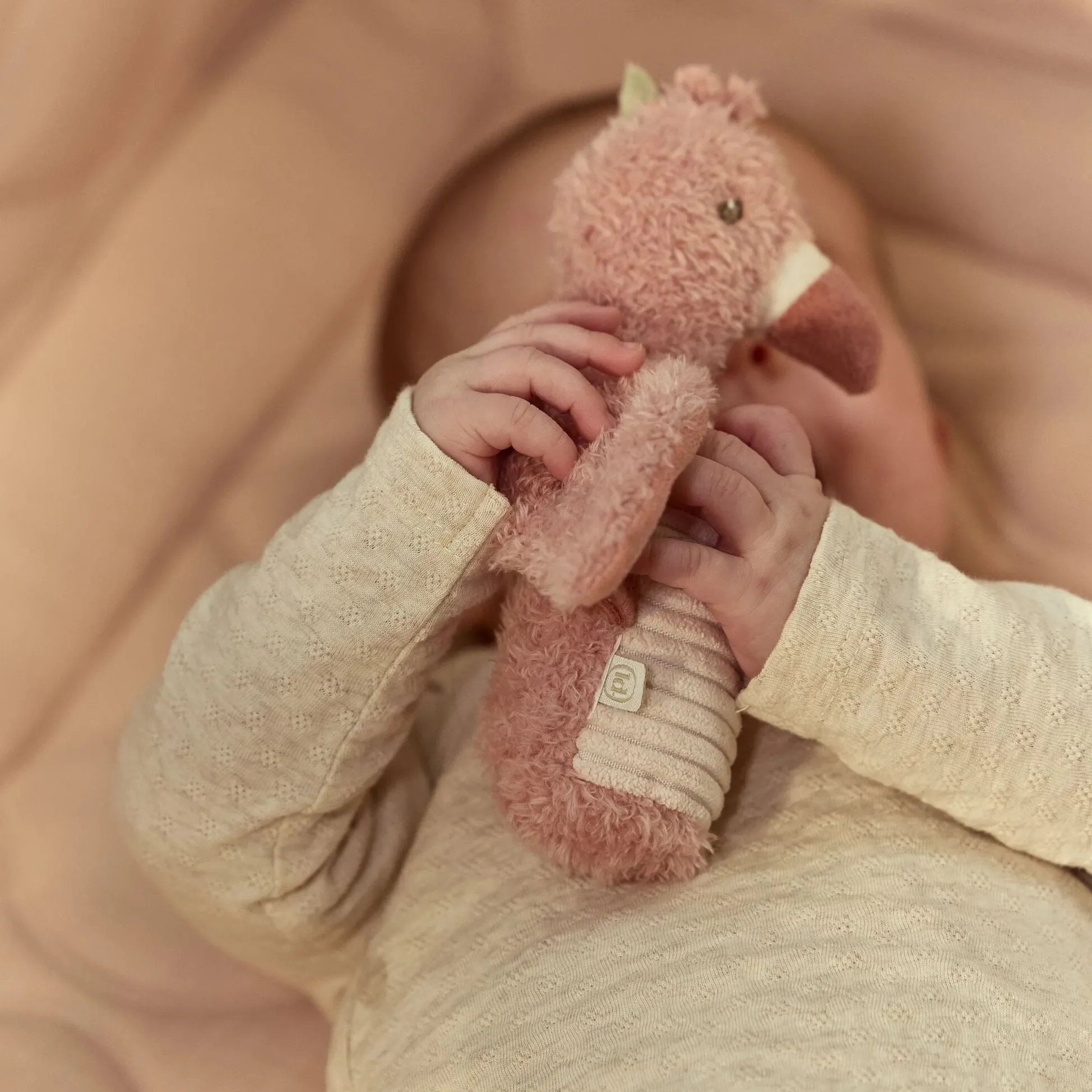 Knijprammelaar Flamingo - Roze