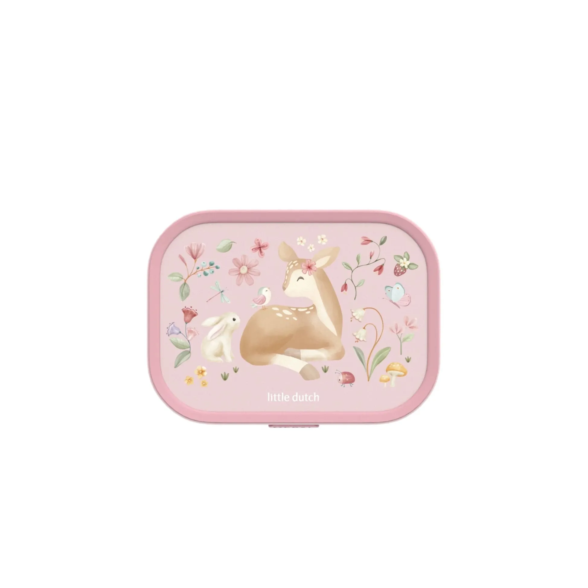 Lunchbox Fairy Garden
