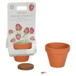 Plantenpotje - Aardbei