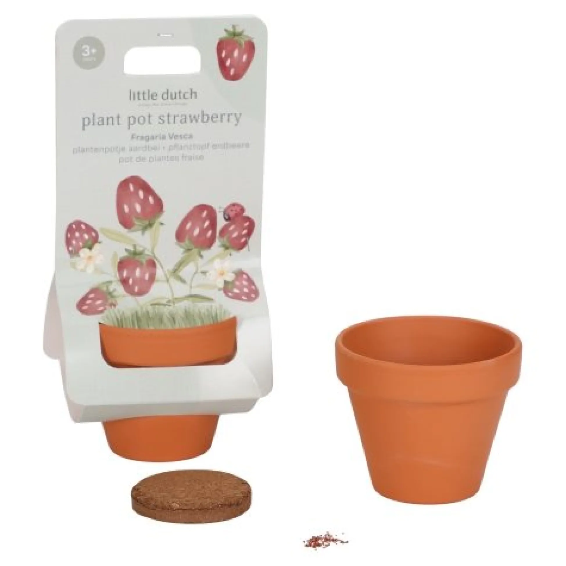 Plantenpotje - Aardbei