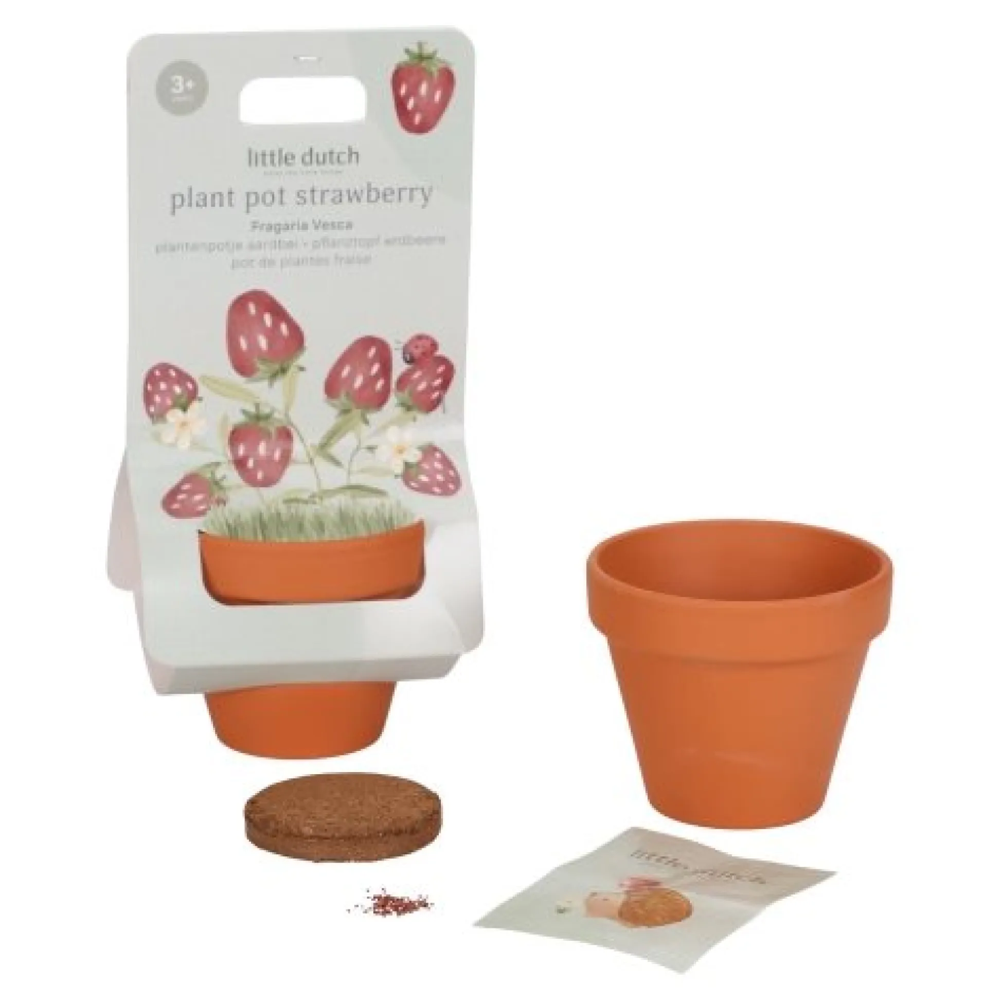 Plantenpotje - Aardbei