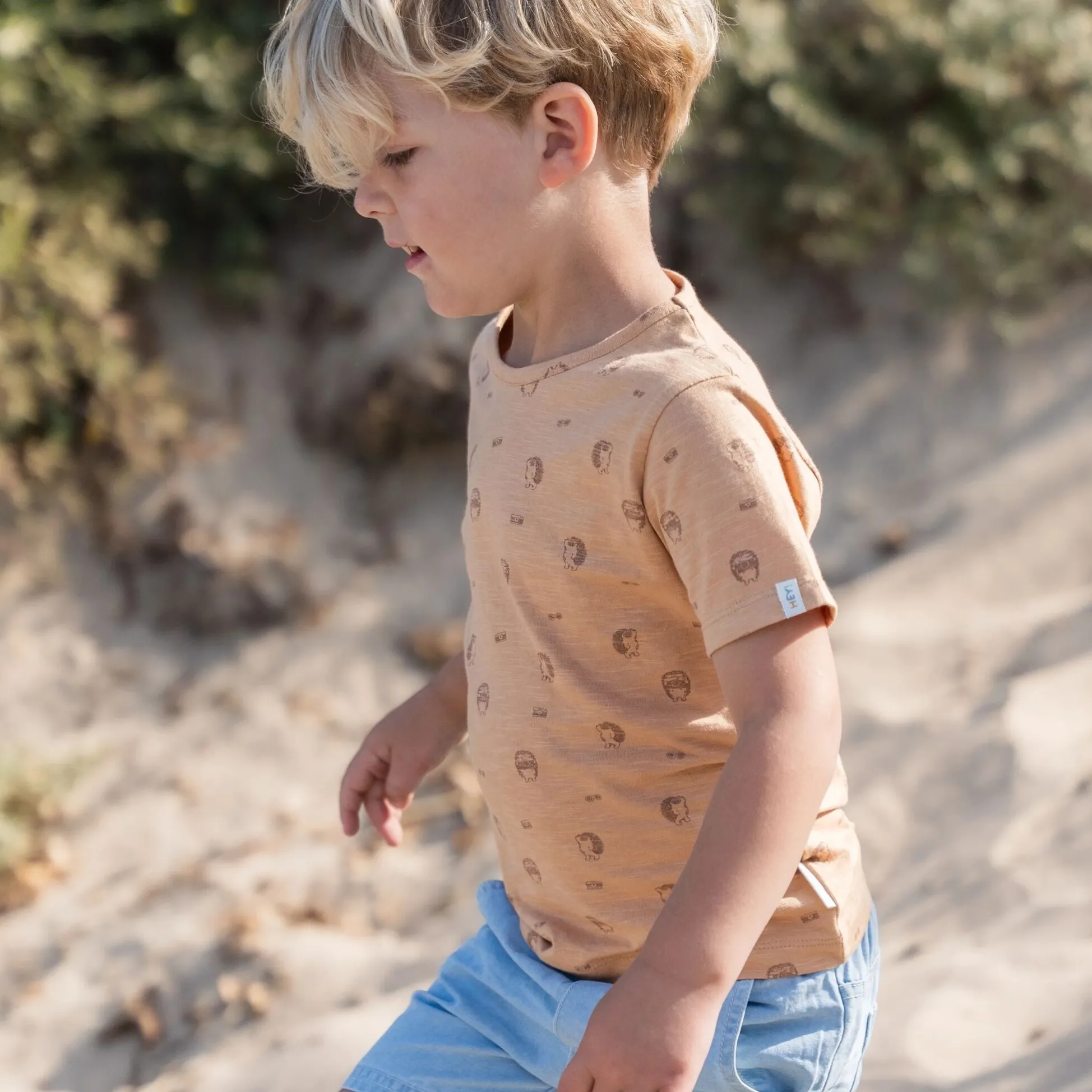 Shirt korte mouw - Bruin