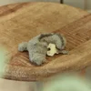 Sleutelhanger Krokodil - Groen