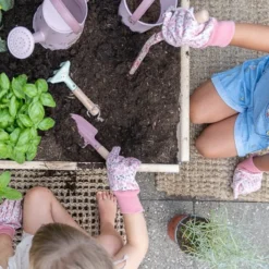 Tuin emmer - Roze - Fairy Garden
