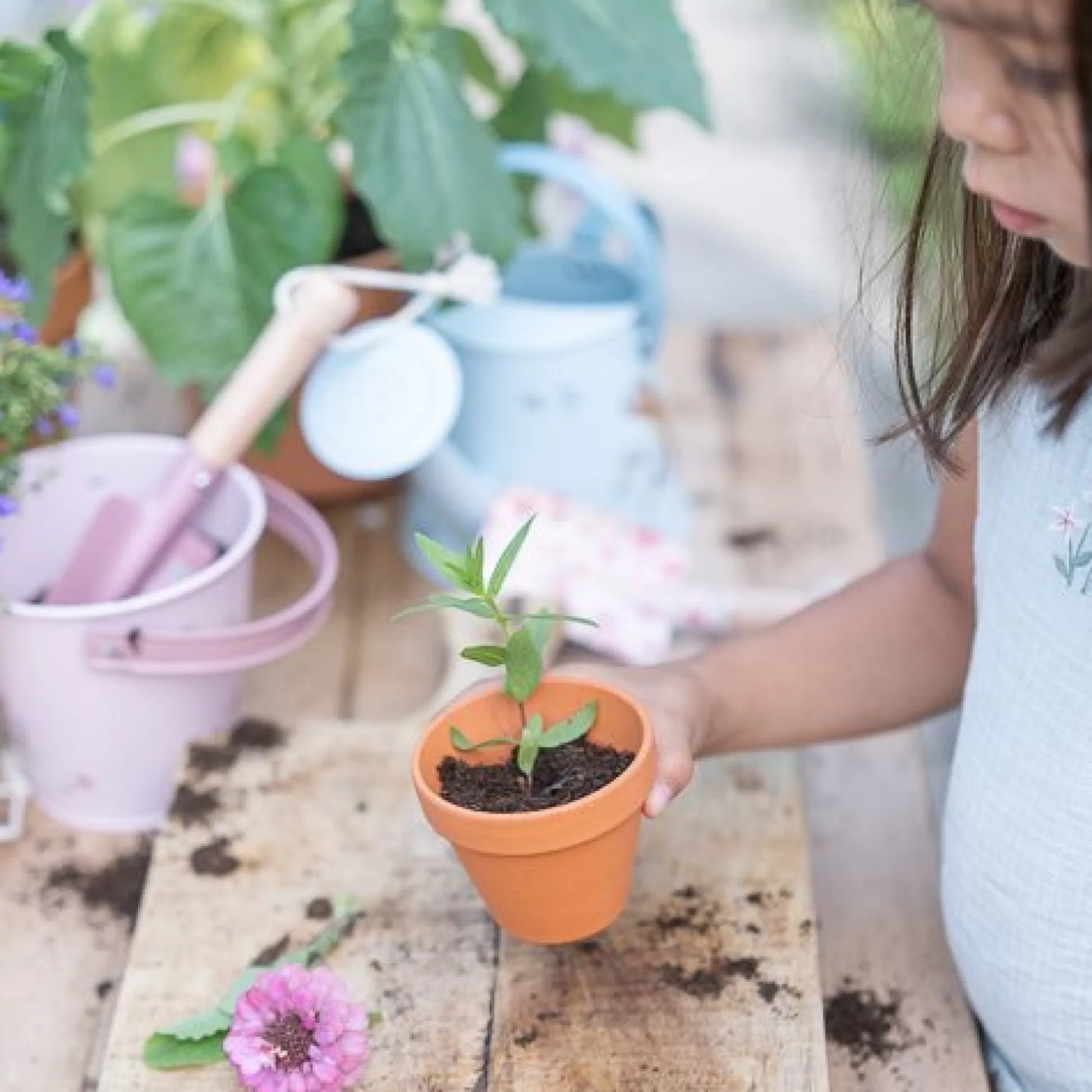 Tuingereedschap - Roze - Fairy Garden