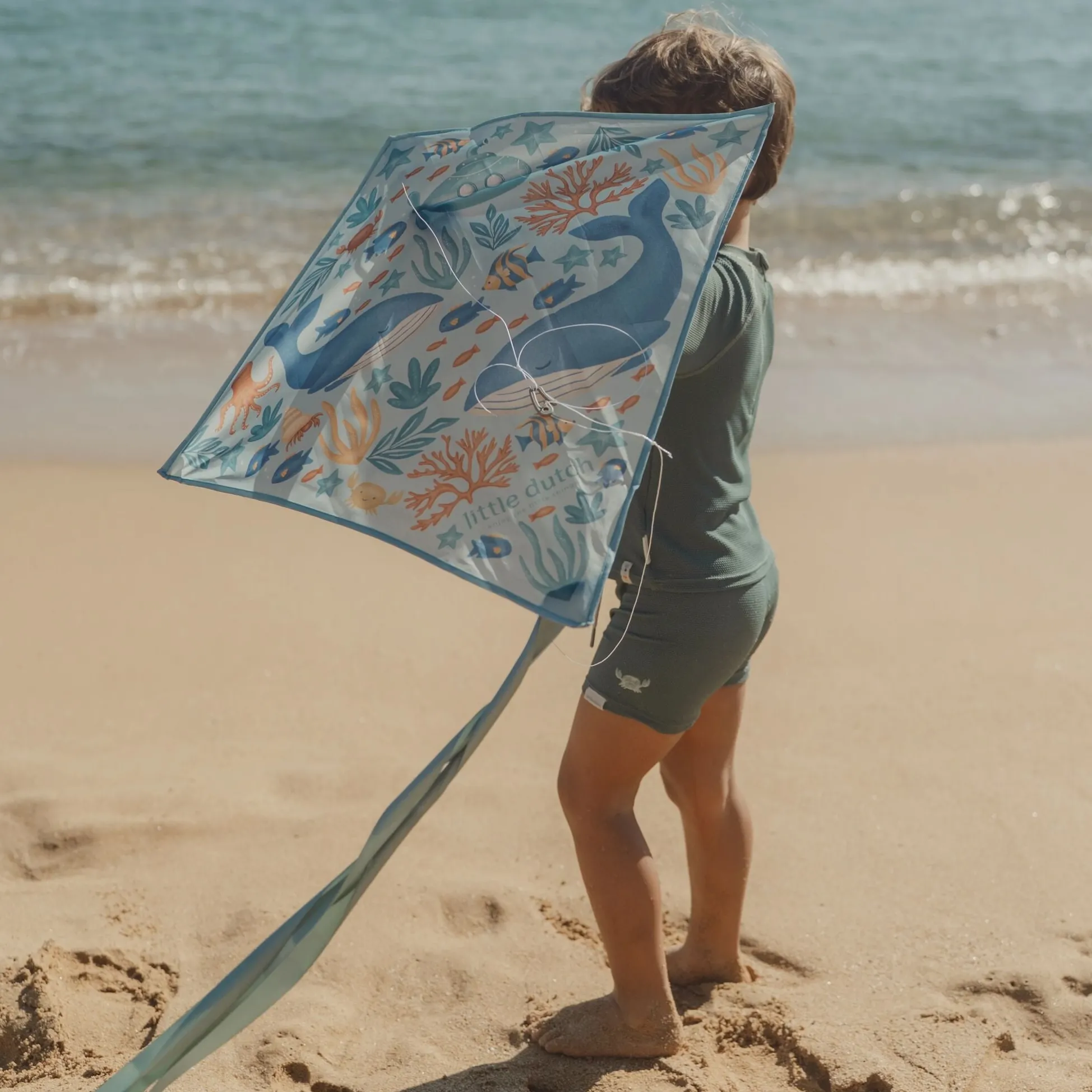 Vlieger - Blauw - Ocean World