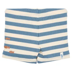 Zwembroek - Blauw - Ocean Blue Stripes
