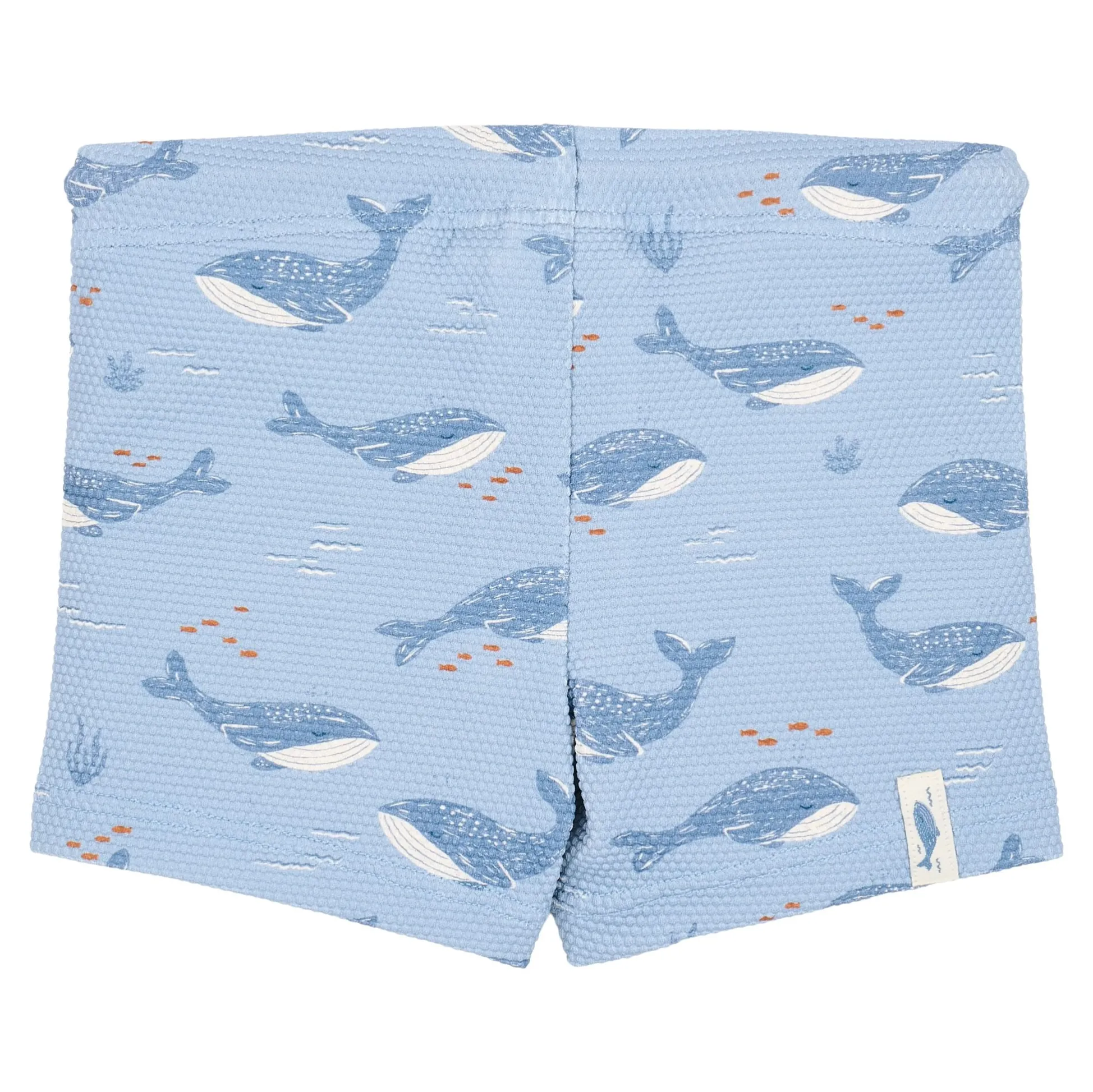 Zwembroek - Blauw - Ocean Splash